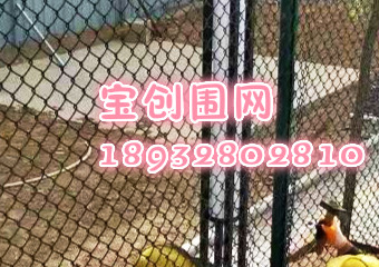 球場(chǎng)圍網(wǎng)
