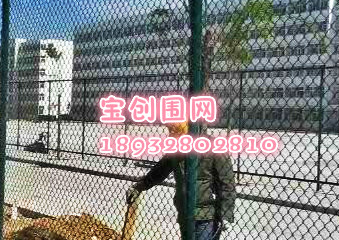 籃球場圍網