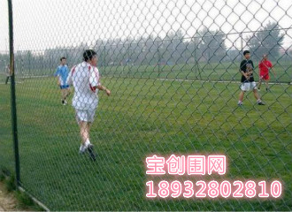 體育場圍網